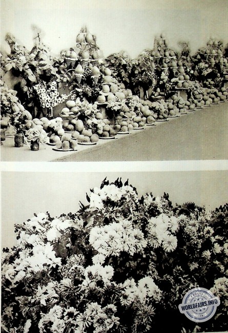concourshorticulture.jpg