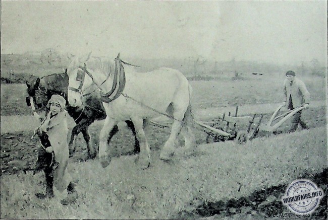 G. Clausen (Great Britain) - Plough boy