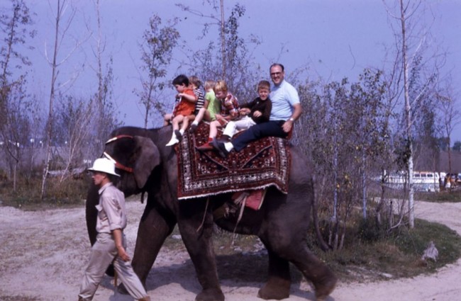 Balade d'éléphant au Safari de La Ronde<br />©Germain Beauchamp<br />Bibliothèque et Archives nationales du Québec