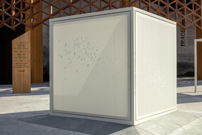 Traces<br />©Expo 2020 Dubai