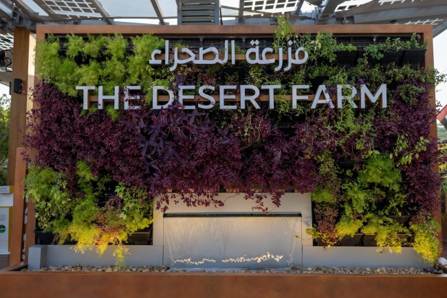 The Desert Farm<br />©Dany Eid/Expo 2020 Dubai