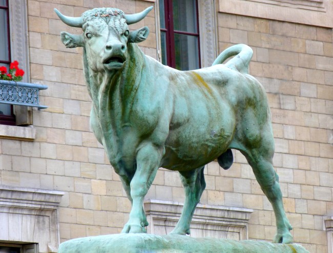 Taureau_Isidore_Bonheur_droit.jpg