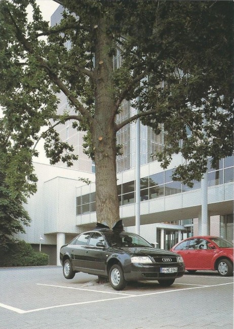 arbrevoiture.jpg