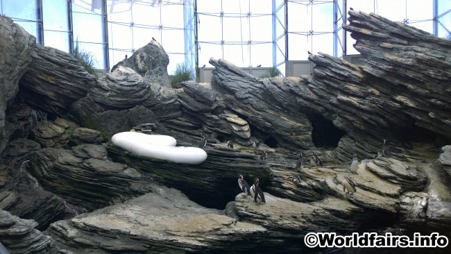 aquarium_08.jpg