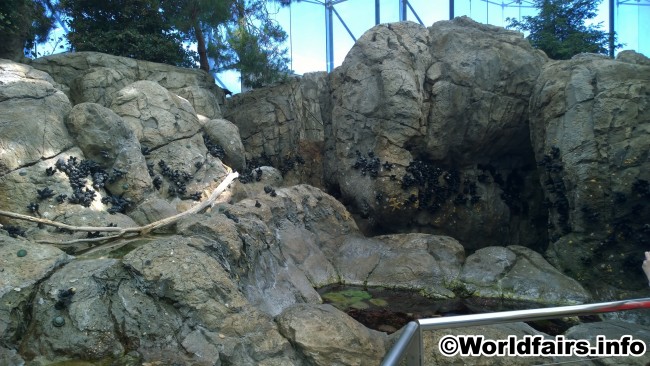 aquarium_10.jpg