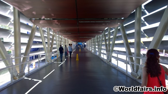 aquarium_18.jpg