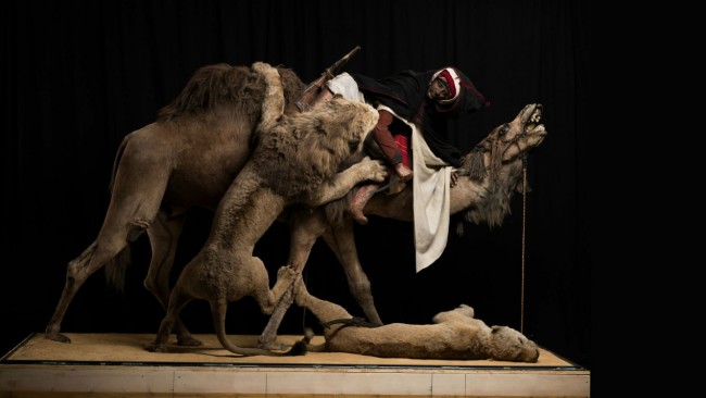 Lion attaquant un dromadaire ©Carnegie Museum of Natural History